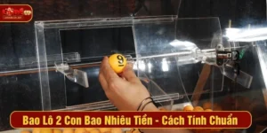 Bao Lô 2 Con Bao Nhiêu Tiền - Cách Tính Chuẩn Tại LODE88