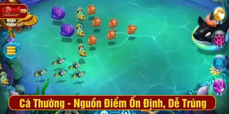 Cá thường - Nguồn điểm ổn định, dễ trúng