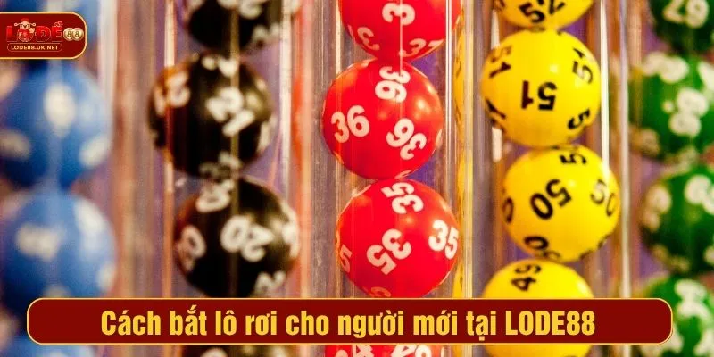 Cách bắt lô rơi cho người mới tại LODE88