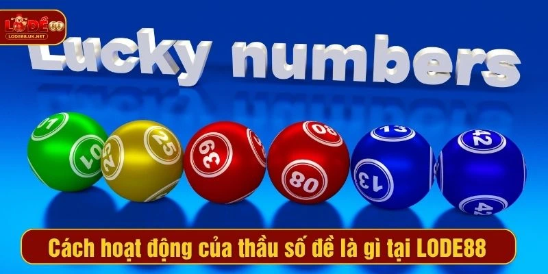 Cách hoạt động của thầu số đề là gì tại LODE88
