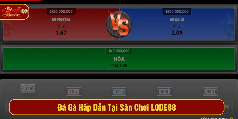 Dự đoán hấp dẫn cho các trận đá gà