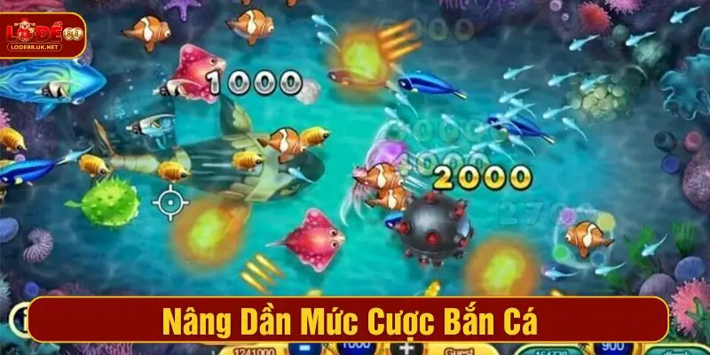 Nâng dần mức cược bắn cá