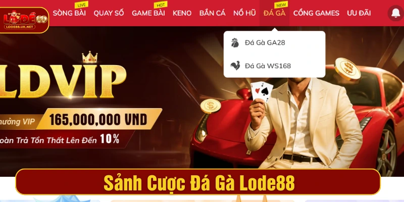 Người chơi thoải mái chọn sảnh cược