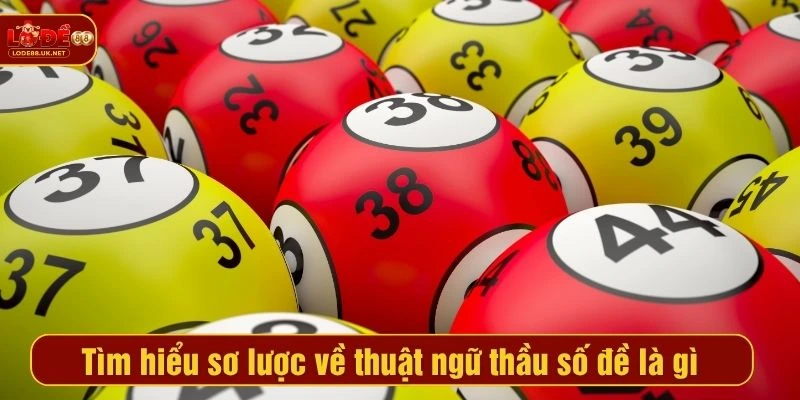 Tìm hiểu sơ lược về thuật ngữ thầu số đề là gì