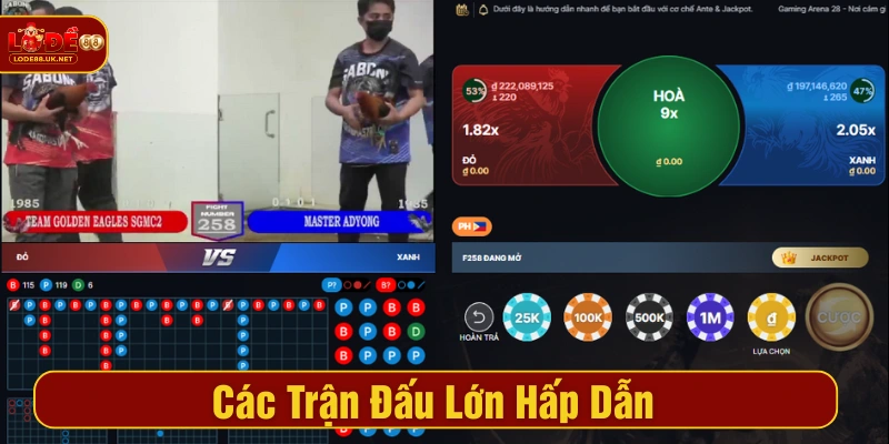Trận đấu đá Lode88 gà chuẩn HD